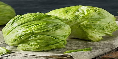 خرید کاهو آیسبرگ صادراتی + قیمت فروش استثنایی